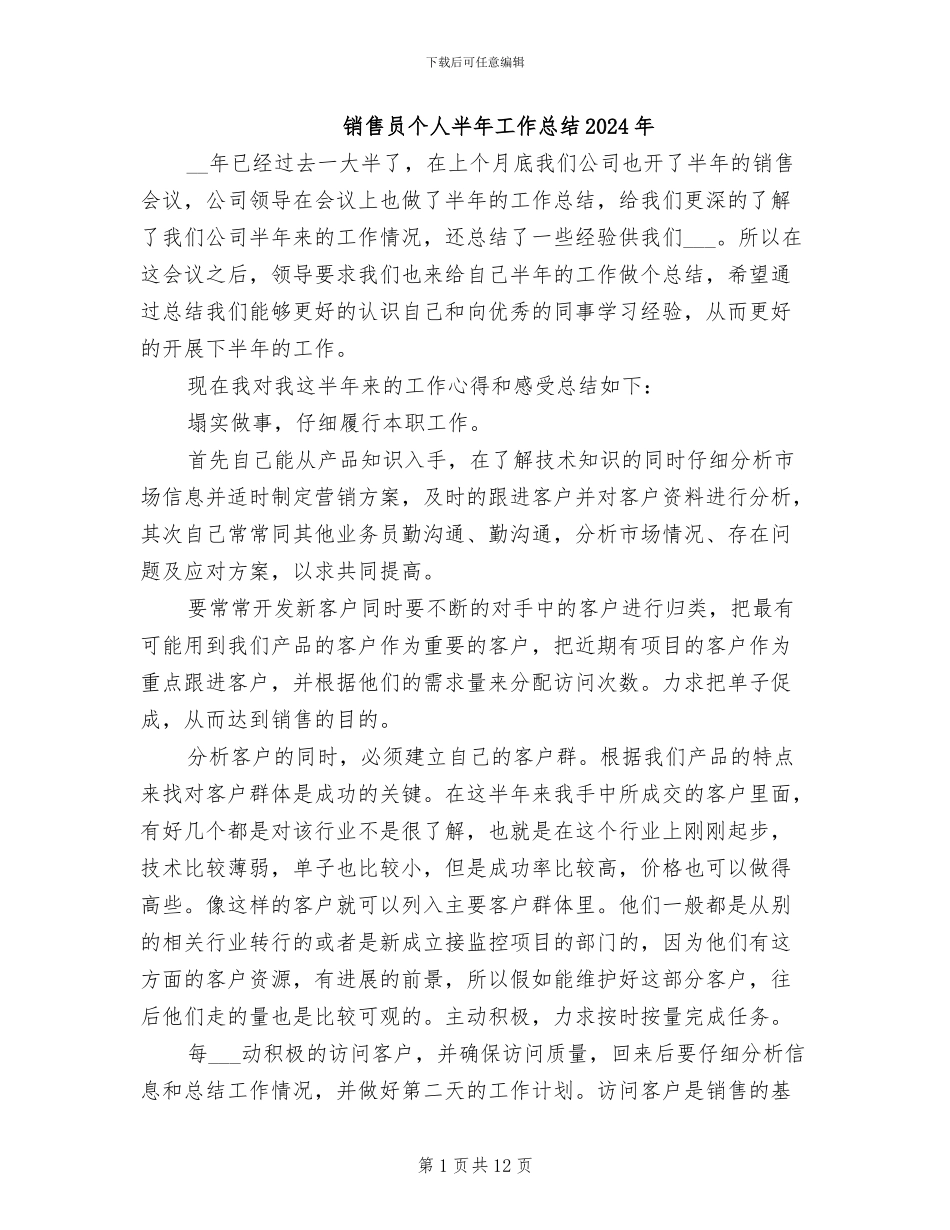 销售员个人半年工作总结2024年_第1页