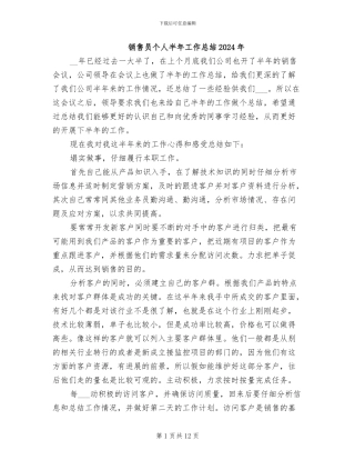 销售员个人半年工作总结2024年