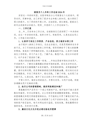 销售员个人年终工作总结2024年