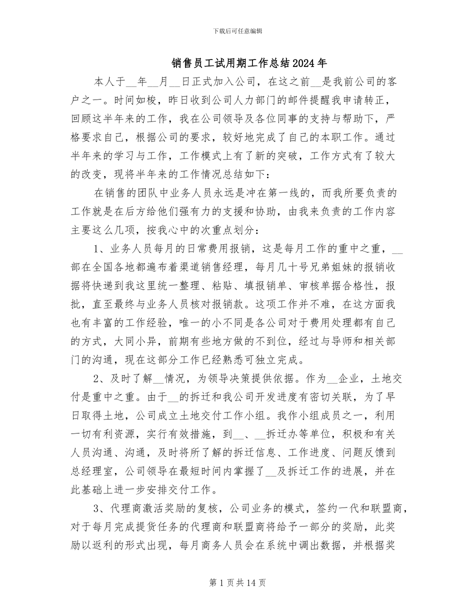 销售员工试用期工作总结2024年_第1页