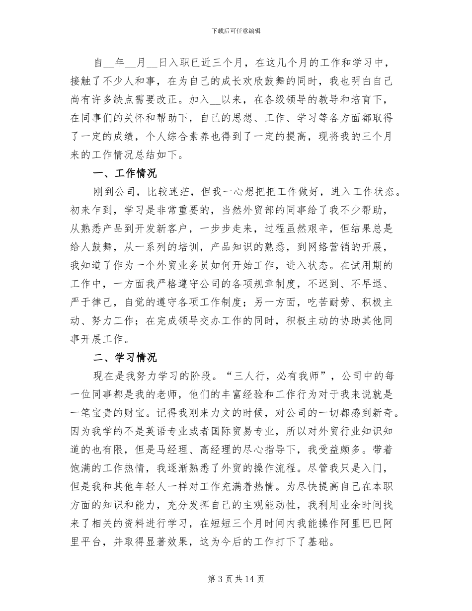 销售员工试用期工作总结2024年_第3页