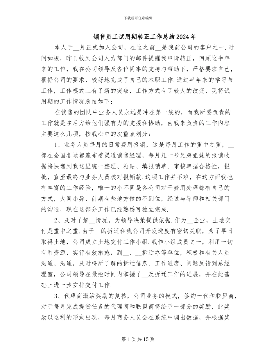 销售员工试用期转正工作总结2024年_第1页