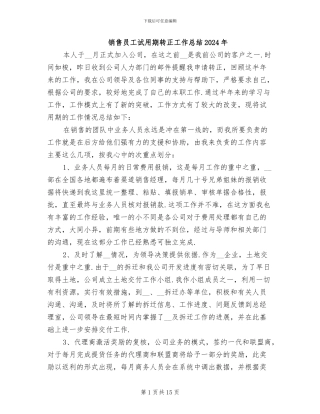 销售员工试用期转正工作总结2024年