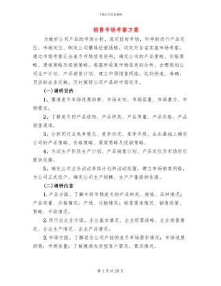 销售市场考察方案