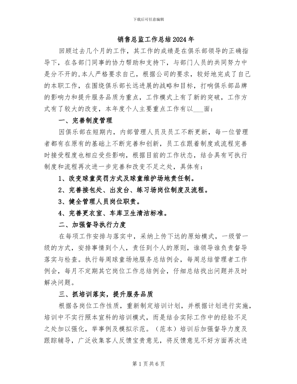 销售总监工作总结2024年_第1页