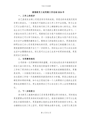 销售新员工试用期工作总结2024年