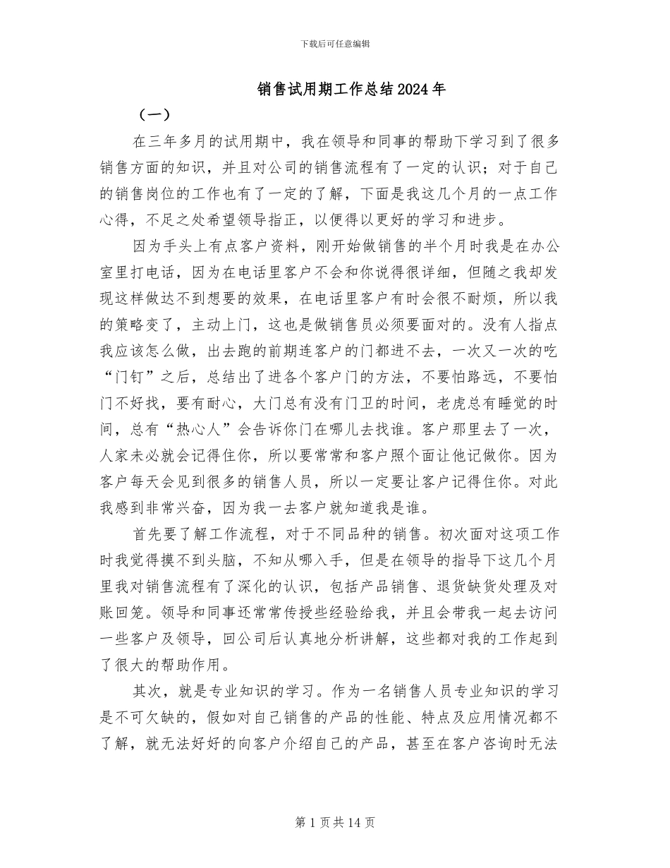 销售试用期工作总结2024年_第1页