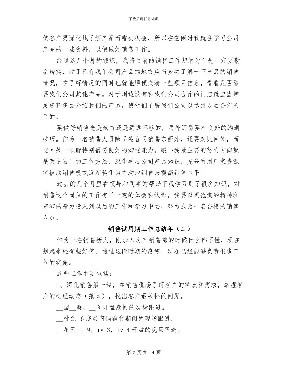 销售试用期工作总结2024年_第2页