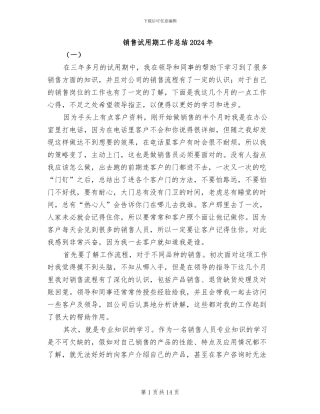 销售试用期工作总结2024年