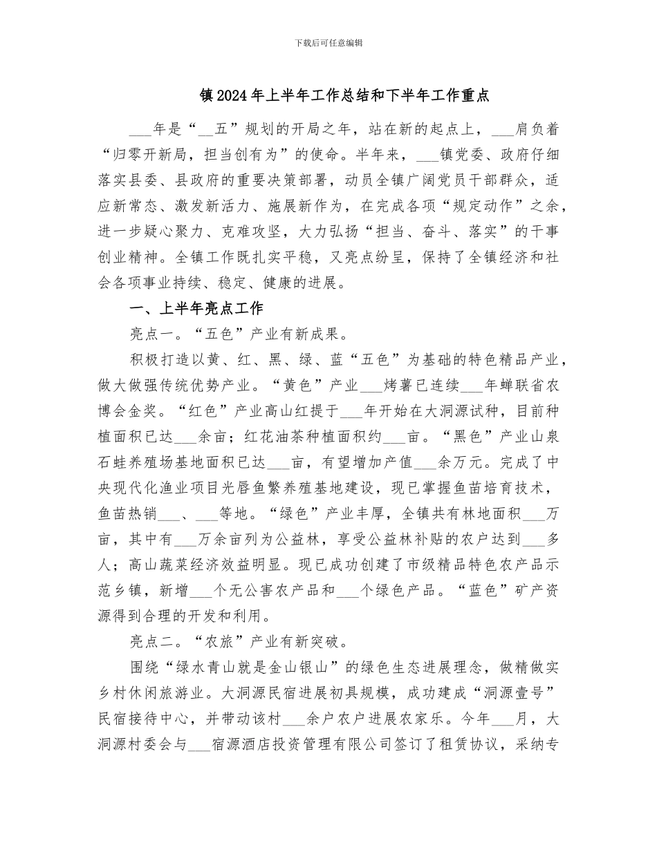 镇2024年上半年工作总结和下半年工作重点_第1页