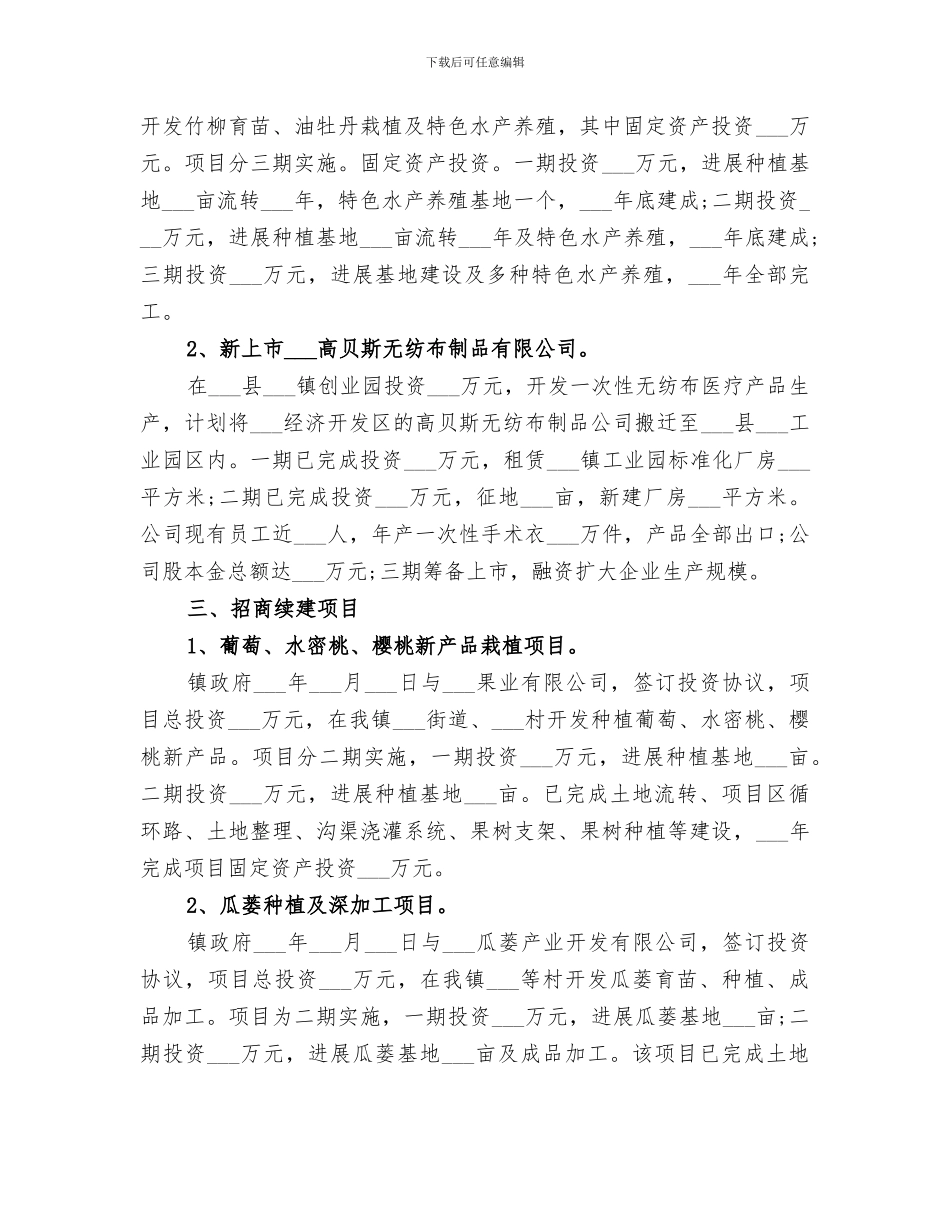 镇2024年度招商引资工作总结_第2页