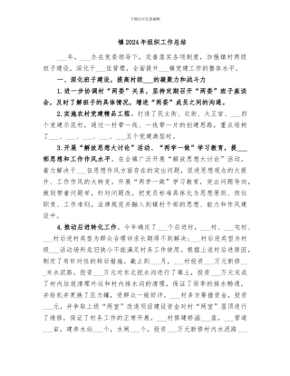 镇2024年组织工作总结