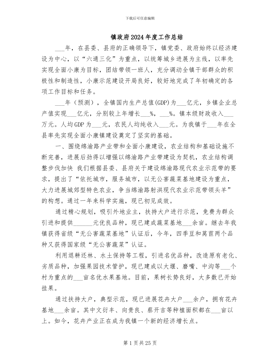 镇政府2024年度工作总结_第1页