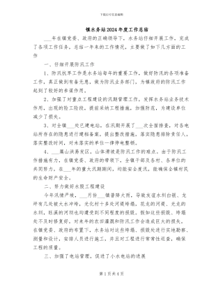 镇水务站2024年度工作总结