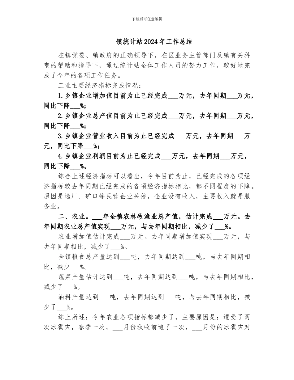 镇统计站2024年工作总结_第1页