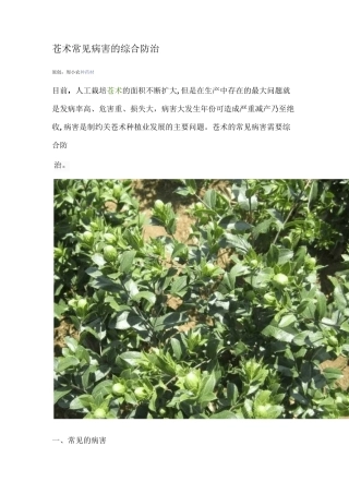 苍术常见病害的综合防治