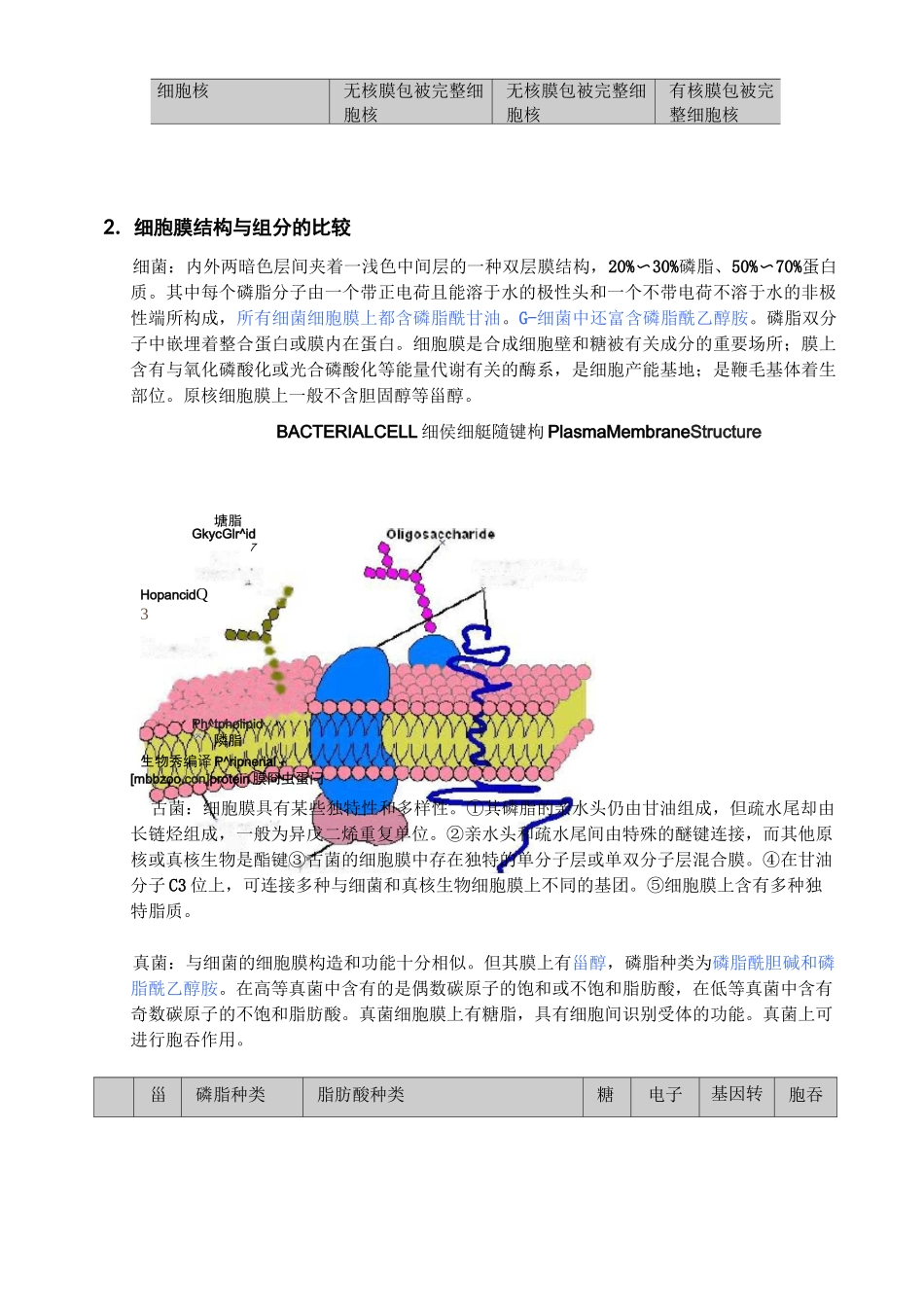 (完整版)细菌、古菌和真菌(主霉菌、酵母菌)的比较_第2页