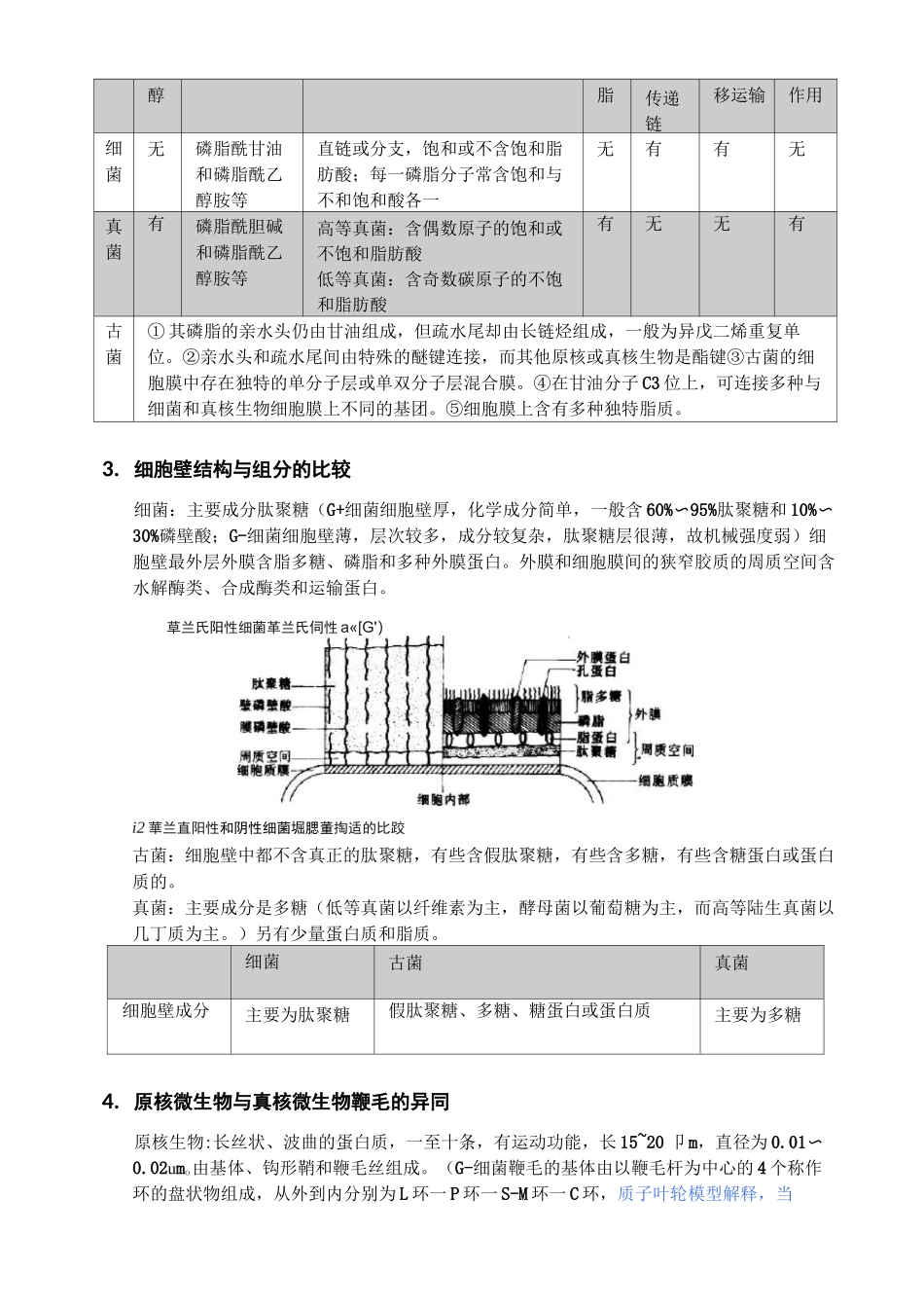 (完整版)细菌、古菌和真菌(主霉菌、酵母菌)的比较_第3页