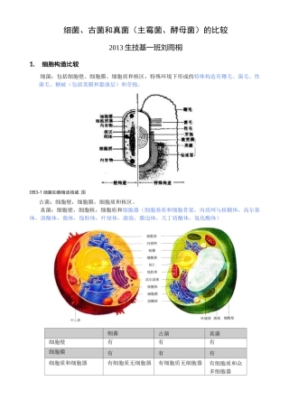 (完整版)细菌、古菌和真菌(主霉菌、酵母菌)的比较