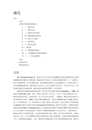磷化处理及工艺