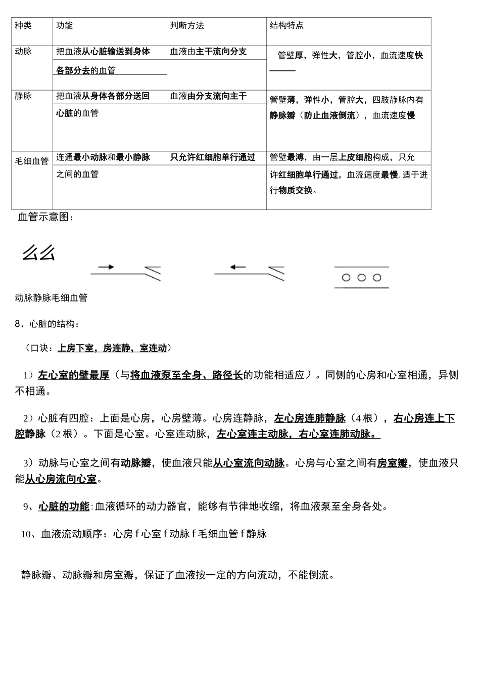 知识点梳理-- 人体内物质的运输_第3页