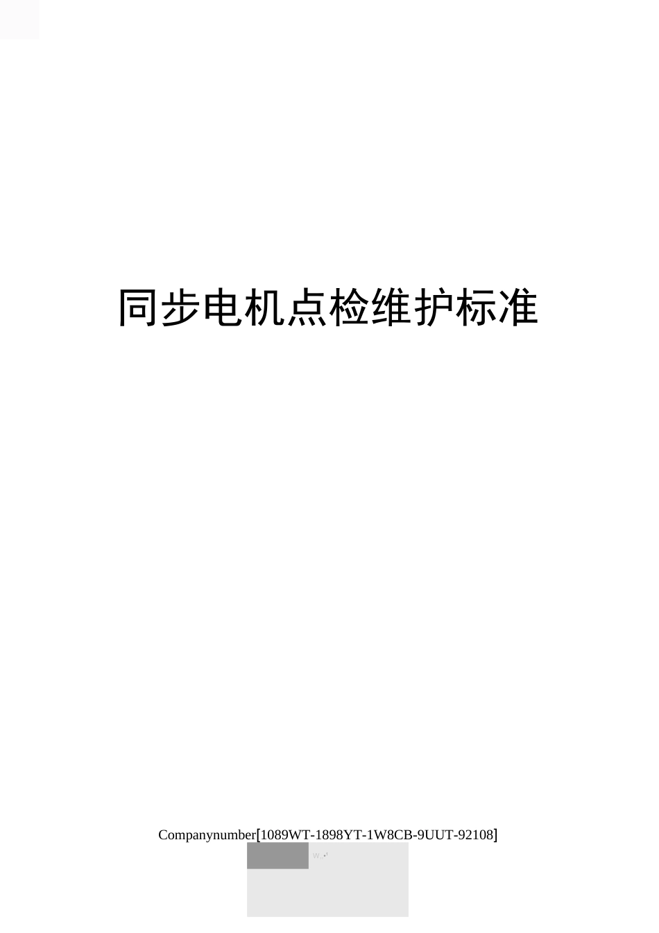 同步电机点检维护标准_第1页