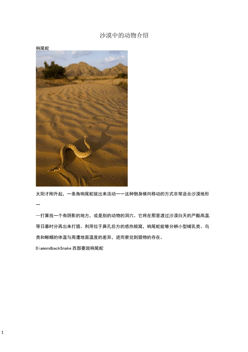 沙漠中的动物介绍_第1页