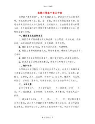集镇环境集中整治方案