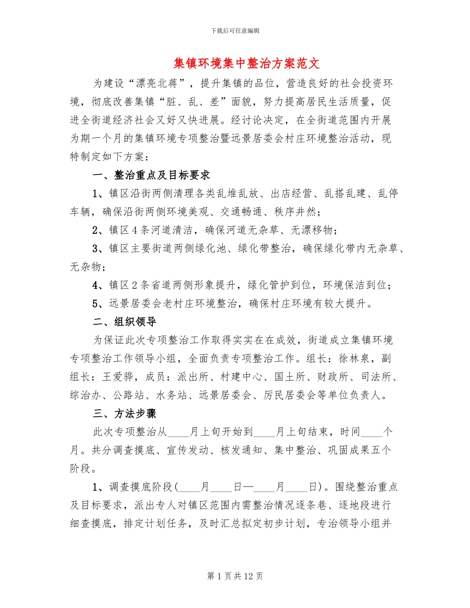 集镇环境集中整治方案范文_第1页
