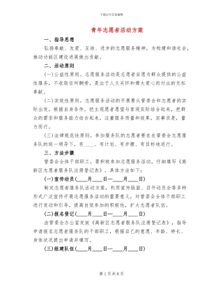青年志愿者活动方案