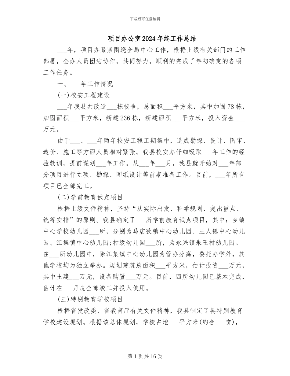 项目办公室2024年终工作总结_第1页