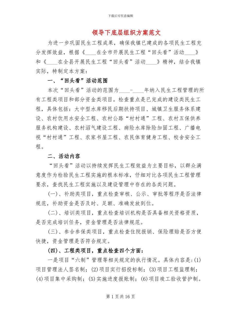 领导下底层组织方案范文_第1页