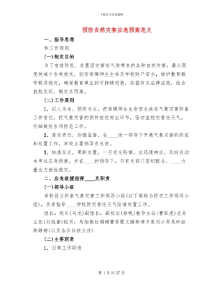 预防自然灾害应急预案范文(7篇)