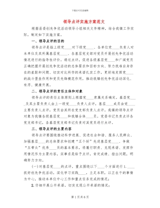 领导点评实施方案范文