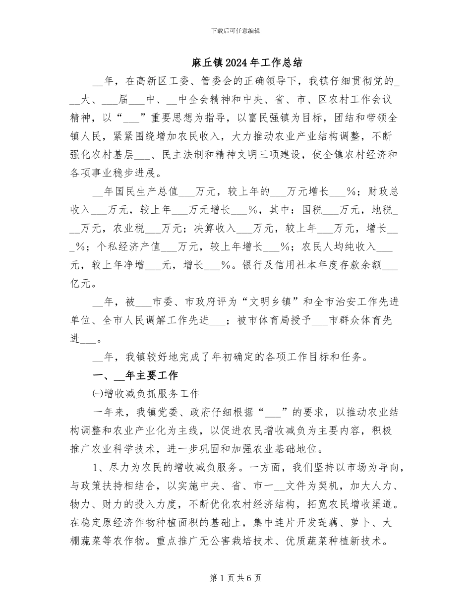 麻丘镇2024年工作总结_第1页