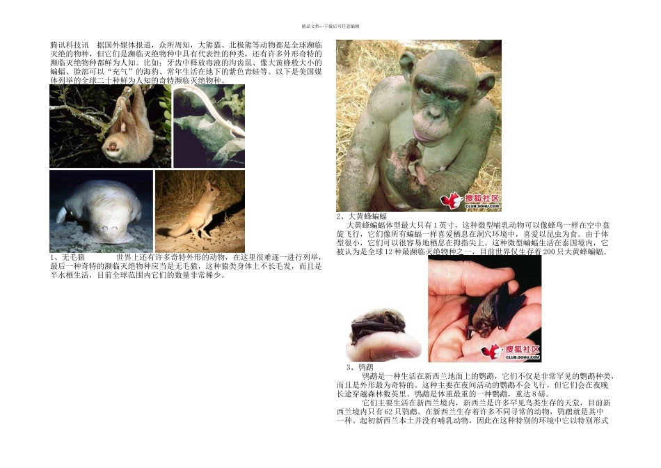 20种濒临灭绝奇特物种_第1页