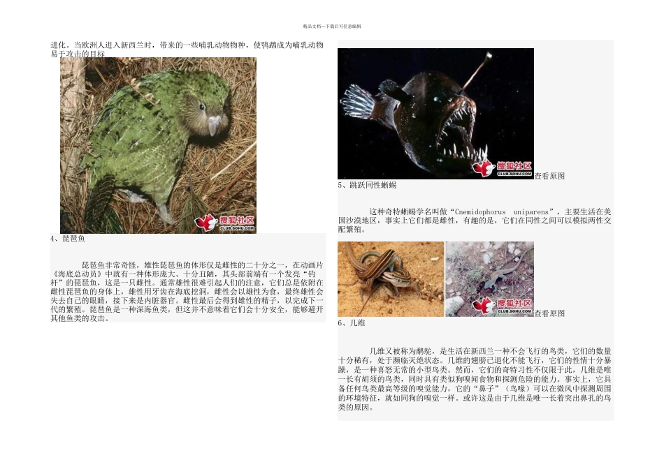 20种濒临灭绝奇特物种_第2页