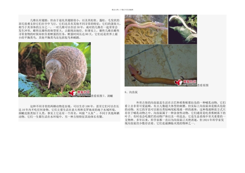 20种濒临灭绝奇特物种_第3页