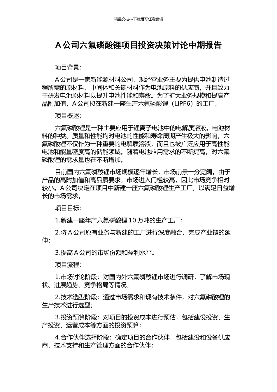 A公司六氟磷酸锂项目投资决策研究中期报告_第1页