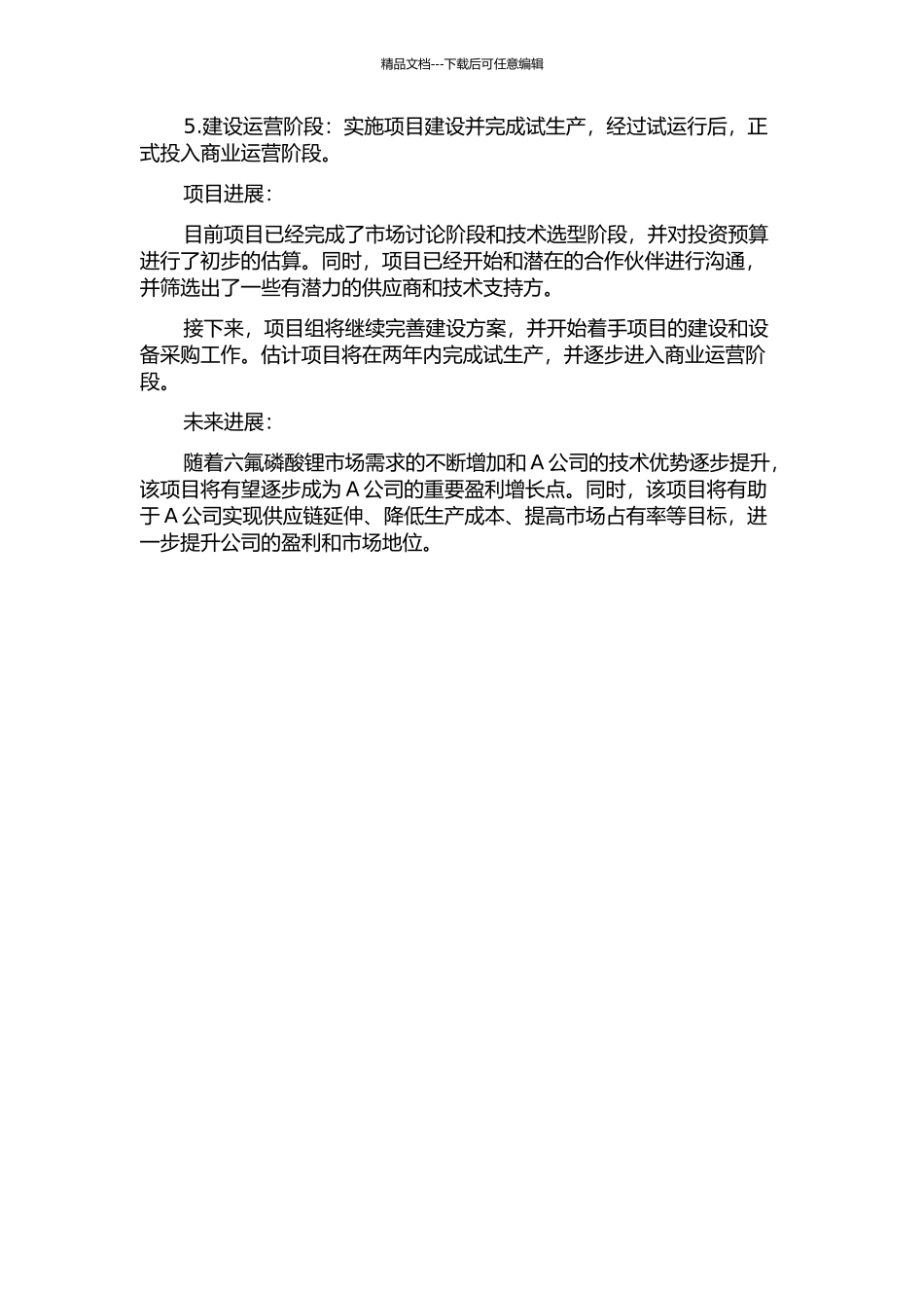 A公司六氟磷酸锂项目投资决策研究中期报告_第2页