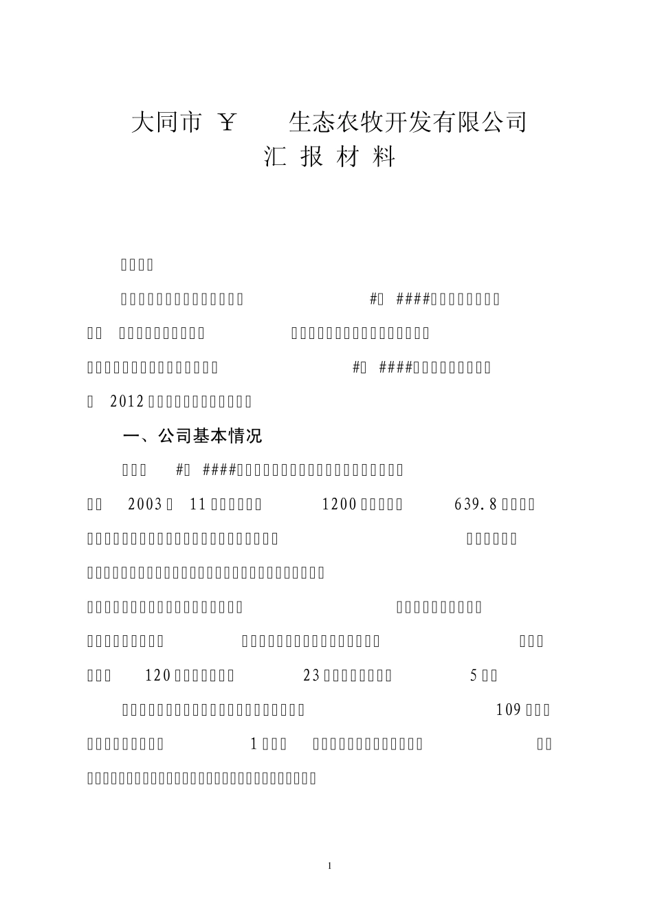 公司汇报材料_第1页