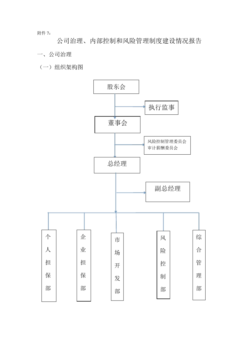 公司治理、内部控制和风险管理制度建设情况报告_第1页