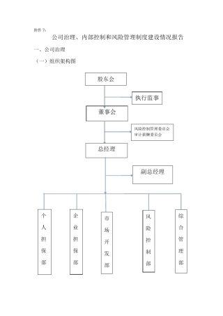 公司治理、内部控制和风险管理制度建设情况报告