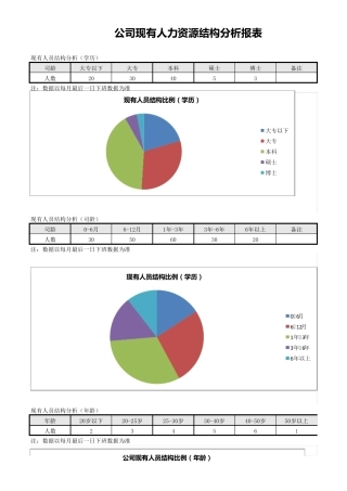 公司现有人力资源结构分析Excel图表excel模板