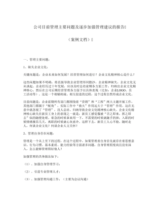 公司目前管理主要问题及逐步加强管理建议的报告