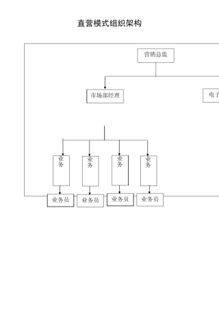 公司直营模式组织架构