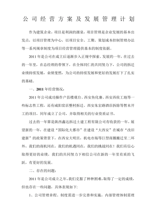 公司经营方案及发展计划
