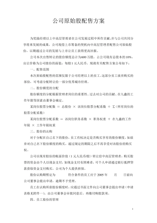 公司股份分配方案