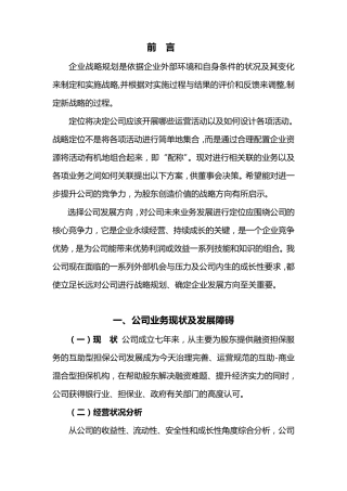 公司自我定位及战略发展方案