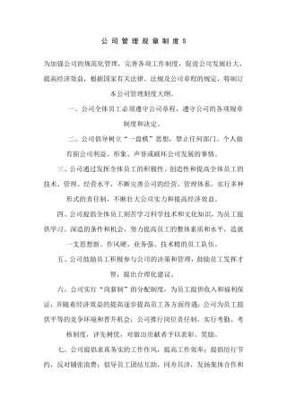公司规章制度及各部门分工职责划分_文档